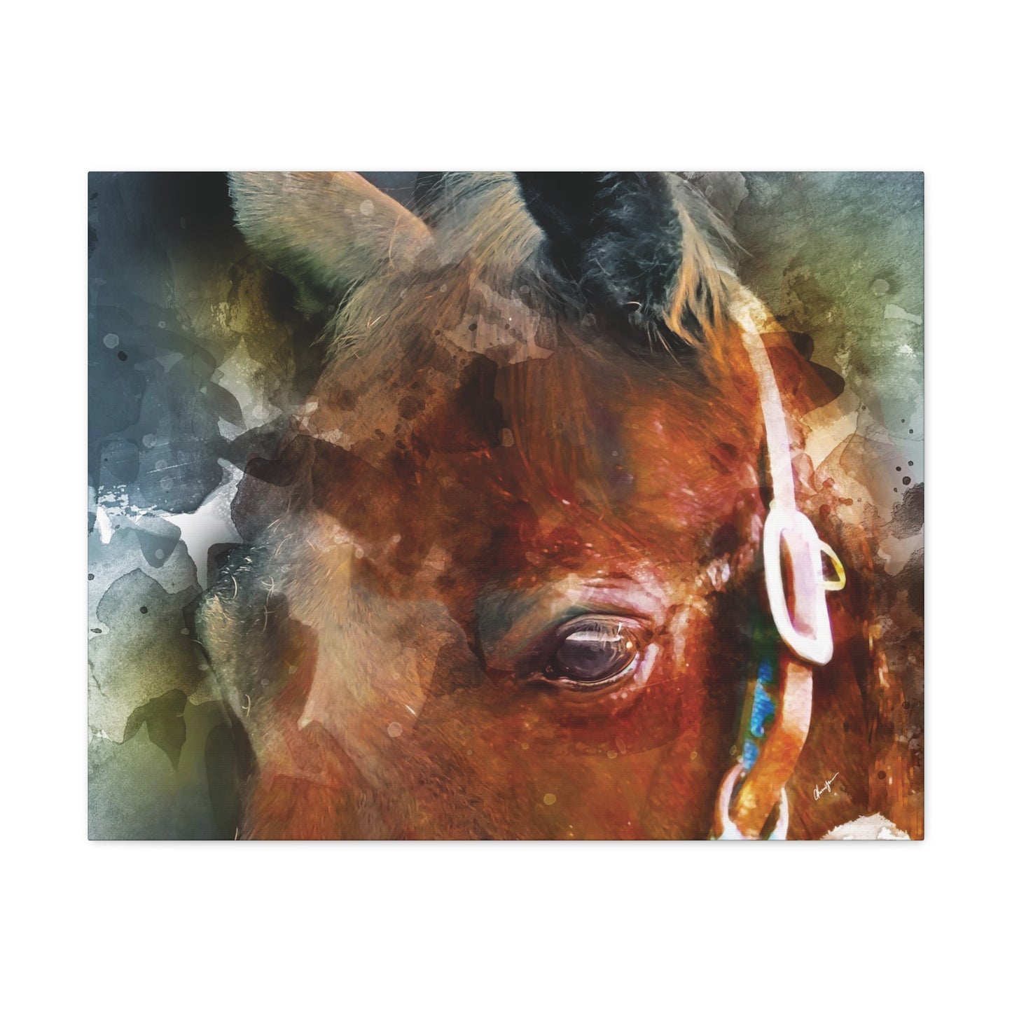 Those Eyes 2 - Standard Unembellished Canvas Gallery Wrap