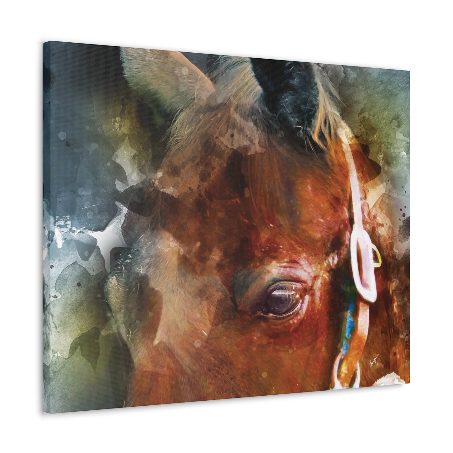 Those Eyes 2 - Standard Unembellished Canvas Gallery Wrap