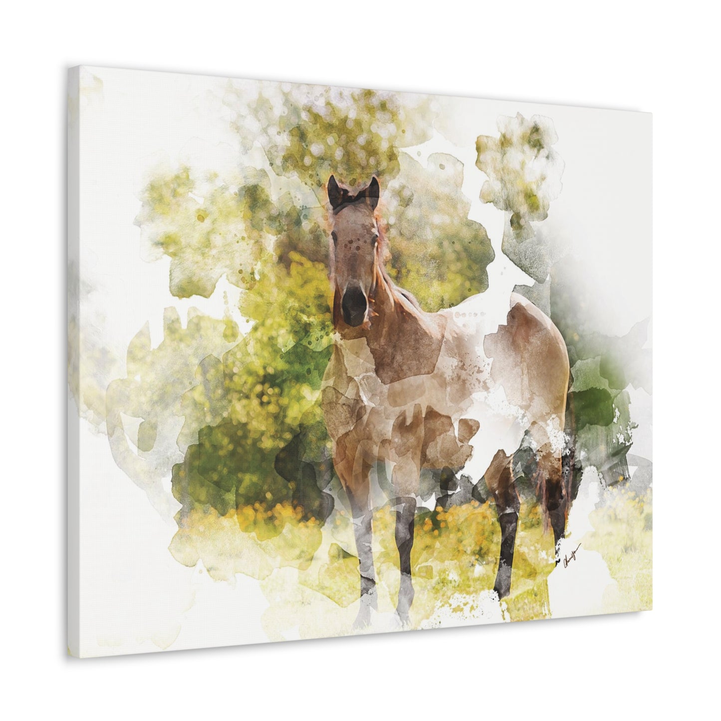 Contemplation - Standard Unembellished Canvas Gallery Wrap